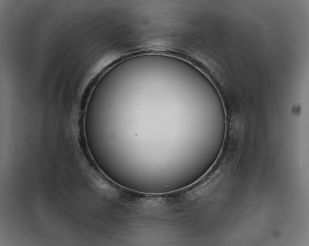 X0000101461410200807071418