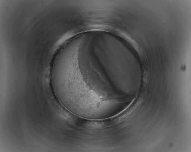 X0000101461411200807071418