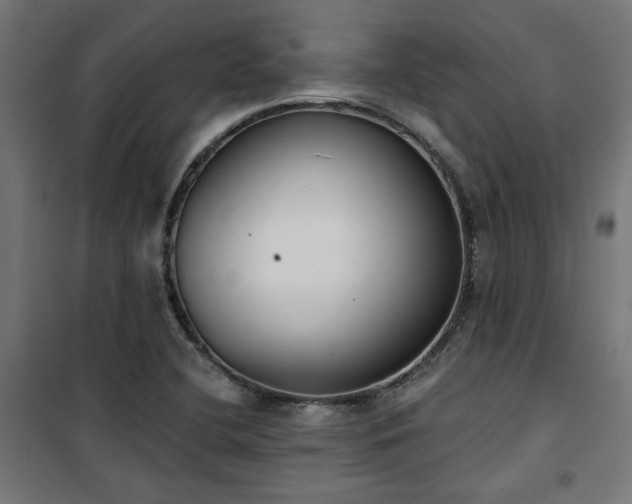 X0000101461412200807071418