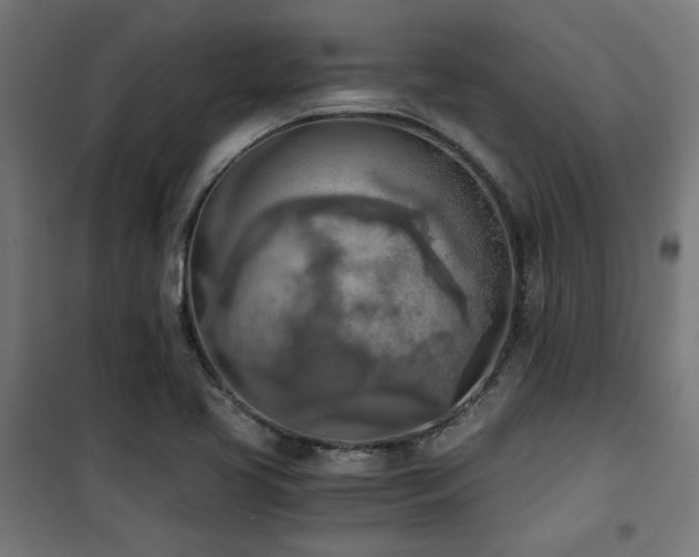 X0000101461413200807071419