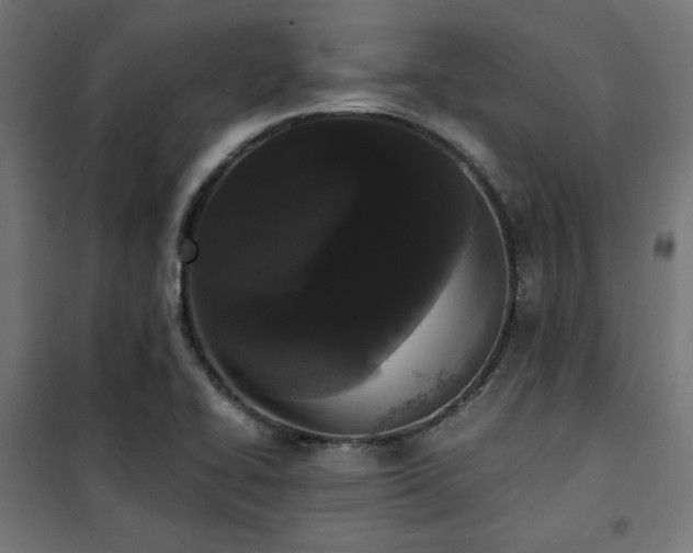 X0000101461414200807071419