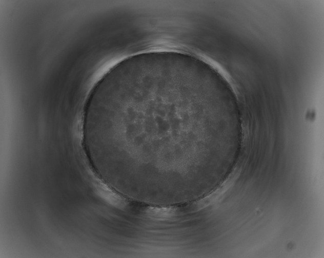 X0000101461415200807071419
