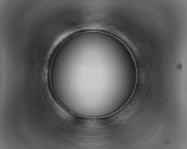 X0000101461416200807071419