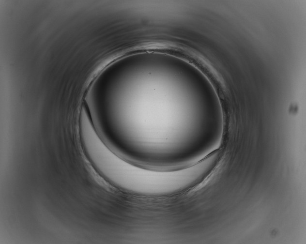 X0000101461417200807071419