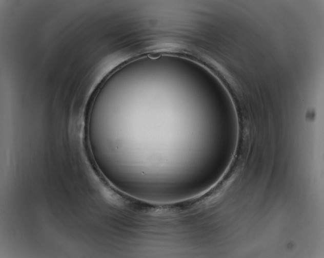 X0000101461418200807071419