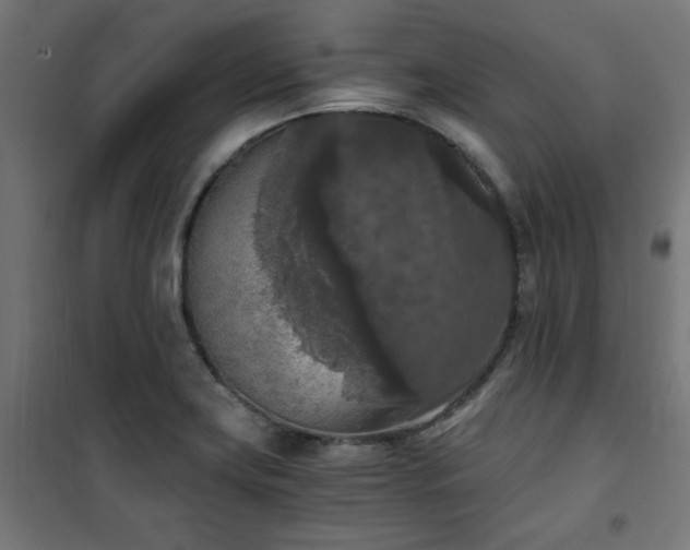 X0000101461419200807071419