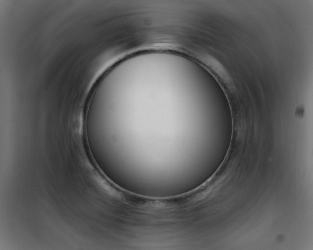 X0000101461420200807071419