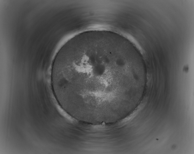 X0000101461421200807071419