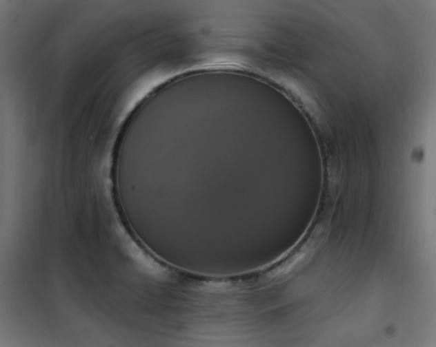 X0000101461422200807071419