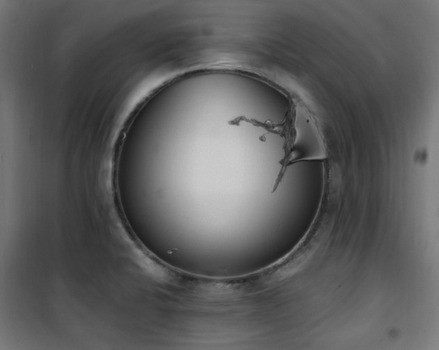 X0000101461424200807071419