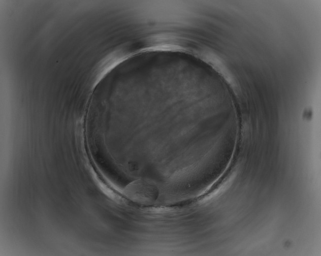 X0000101461425200807071419