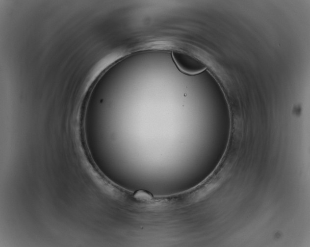 X0000101461426200807071419