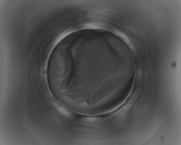 X0000101461427200807071419