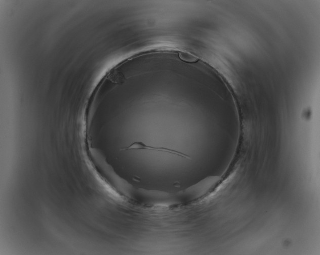 X0000101461428200807071419