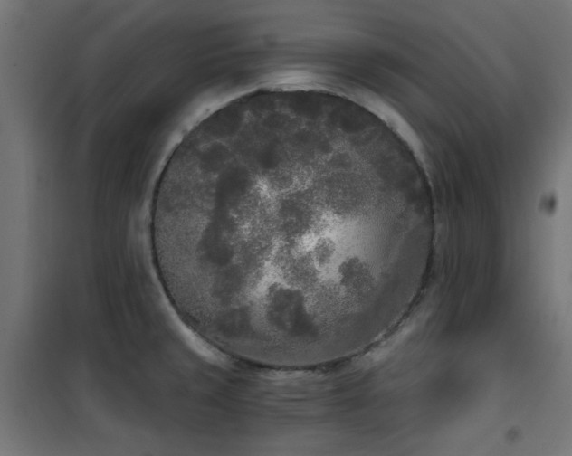 X0000101461429200807071419