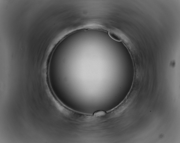 X0000101461430200807071419