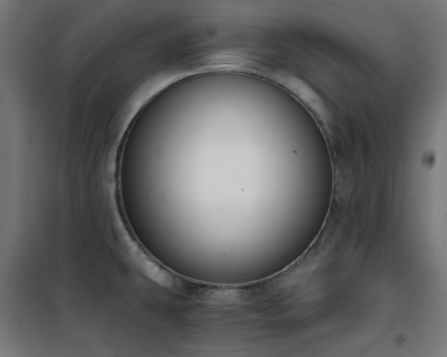 X0000101461431200807071419