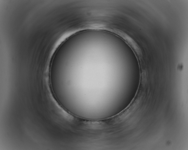 X0000101461432200807071419