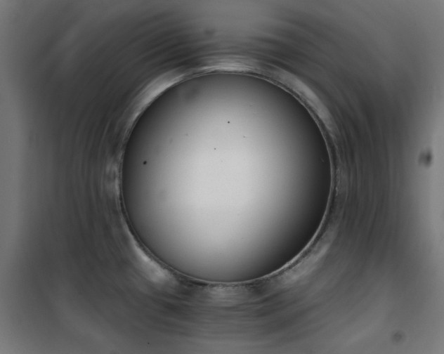 X0000101461433200807071419