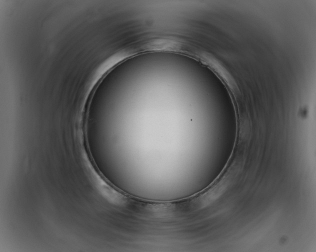 X0000101461434200807071419