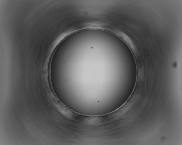 X0000101461435200807071419