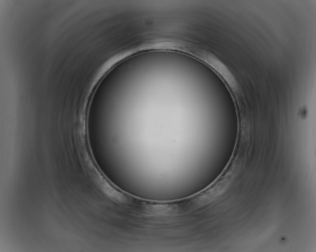 X0000101461436200807071419