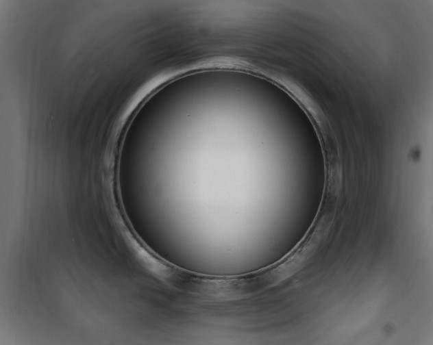 X0000101461438200807071419