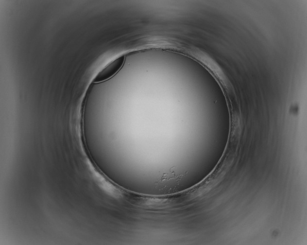 X0000101461439200807071419