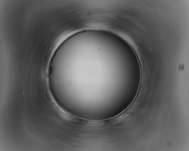 X0000101461440200807071419