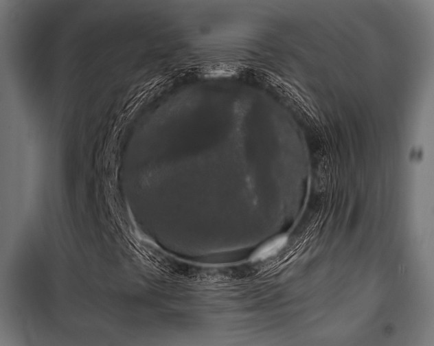 X0000101461441200807071418