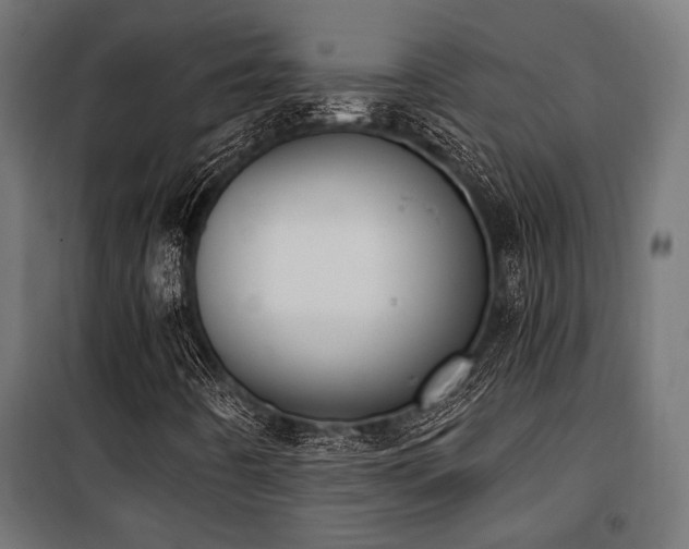 X0000101461442200807071418