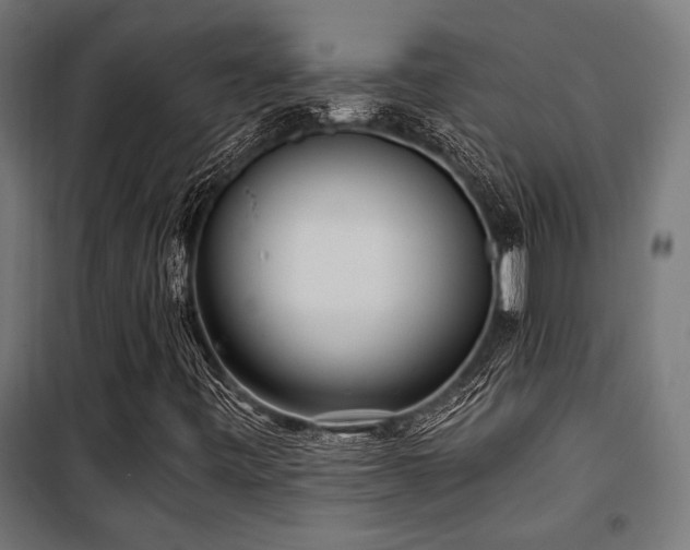 X0000101461443200807071418