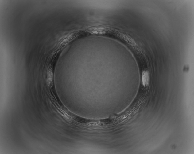 X0000101461444200807071418