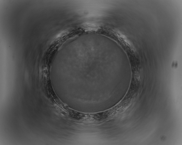 X0000101461445200807071418