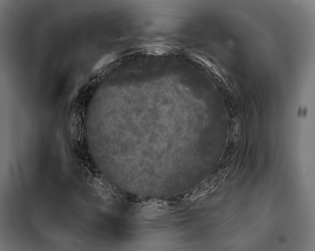 X0000101461446200807071418
