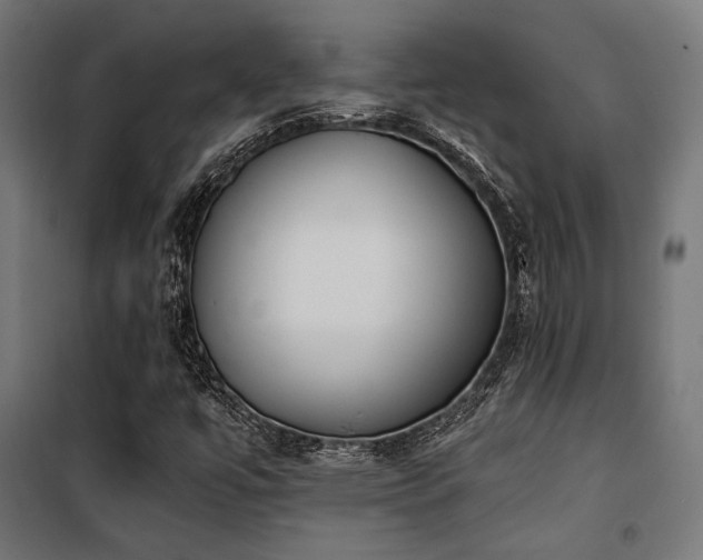 X0000101461447200807071418
