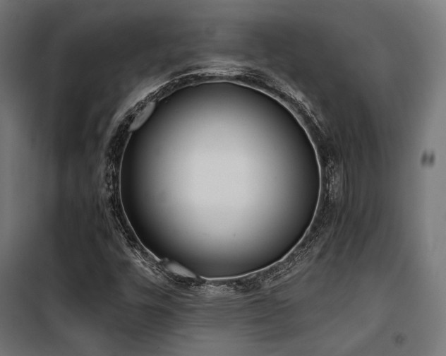 X0000101461448200807071418