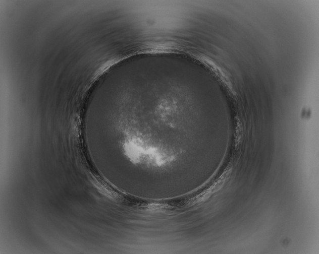 X0000101461449200807071418