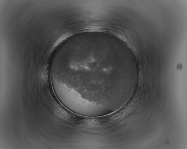 X0000101461450200807071418