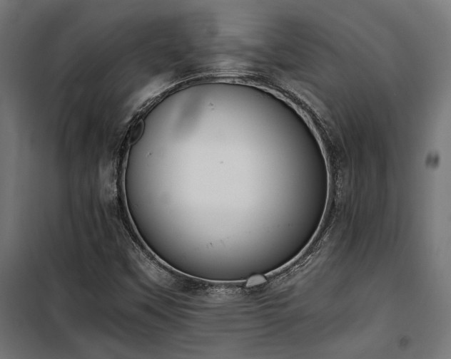 X0000101461451200807071418