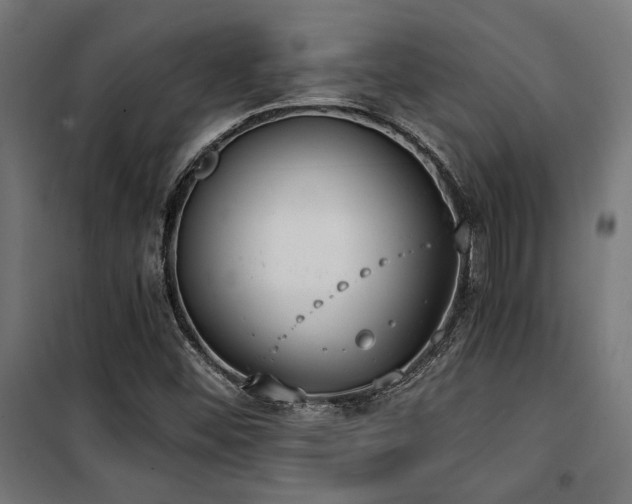 X0000101461452200807071418