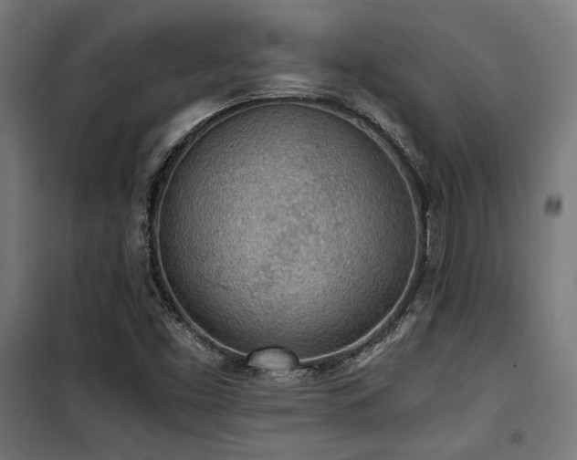 X0000101461453200807071418