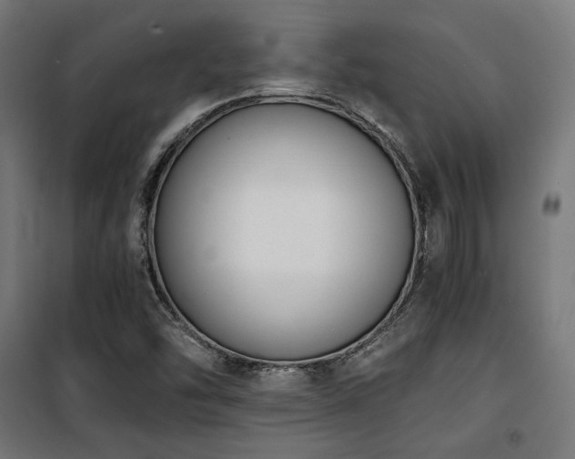 X0000101461454200807071418