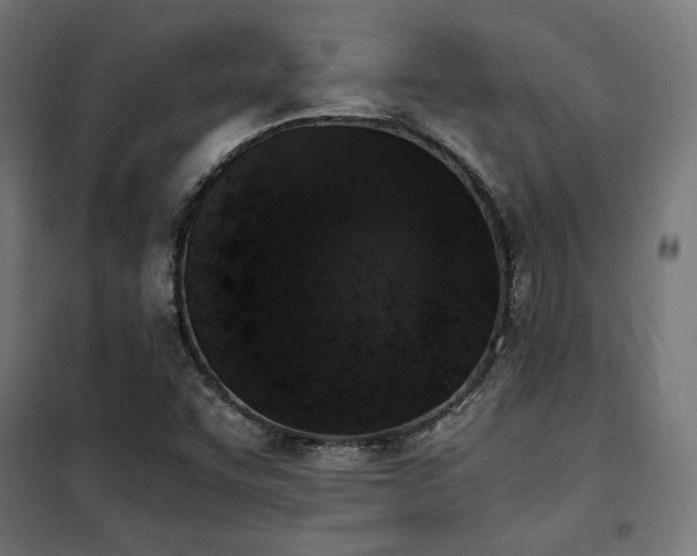 X0000101461455200807071418
