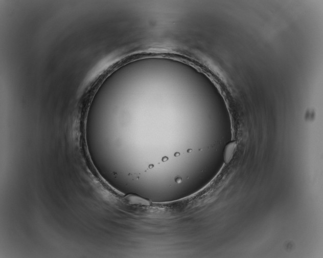 X0000101461456200807071418