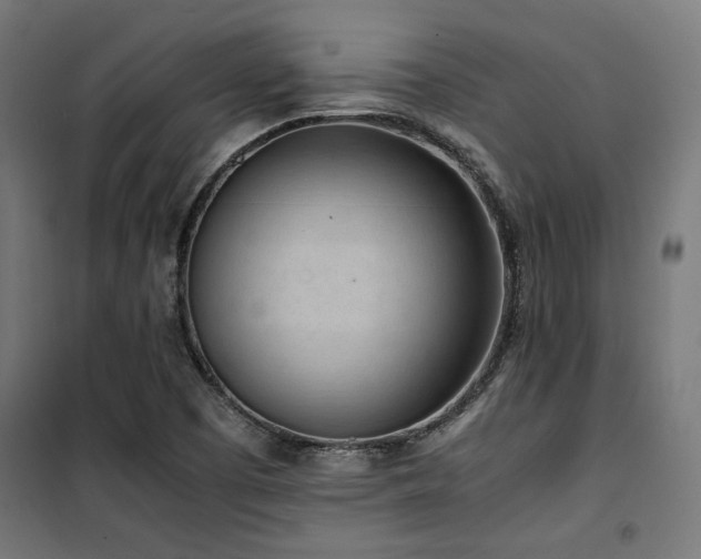 X0000101461457200807071418
