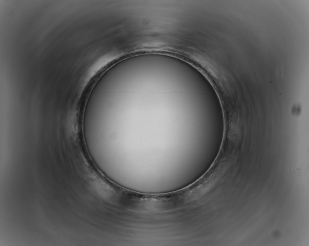 X0000101461458200807071418