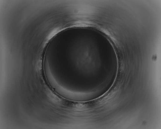 X0000101461459200807071418