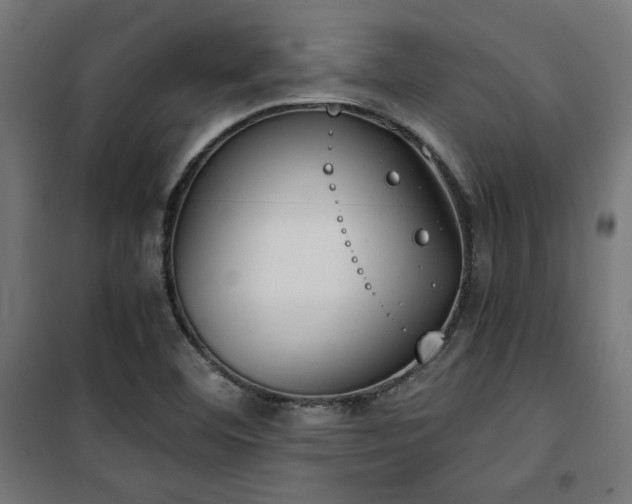 X0000101461460200807071418