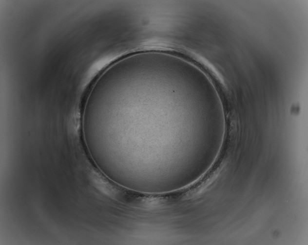 X0000101461461200807071418